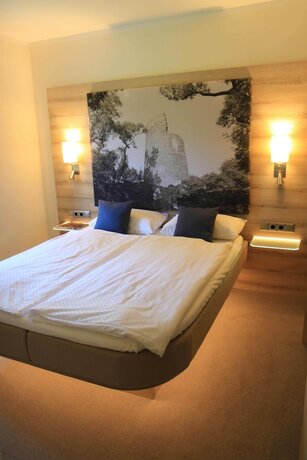 Imagen de la habitación del Hotel Burg Heimerzheim. Foto 17