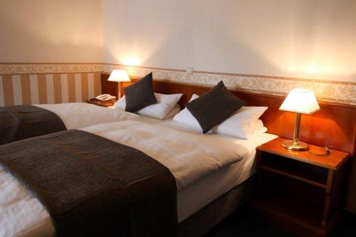 Imagen general del Hotel Burg-M&uuml;hle. Foto 4