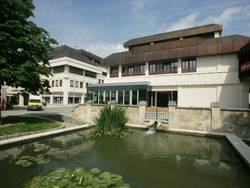 Imagen general del Hotel Burgenland. Foto 5