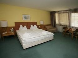 Imagen general del Hotel Burgenland. Foto 8