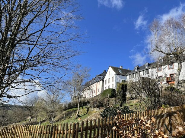Imagen general del Hotel Burghaus and Villa Kronenburg. Foto 5