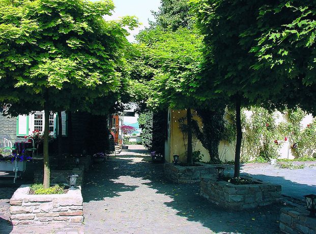 Imagen general del Hotel Burghotel Volmarstein. Foto 2