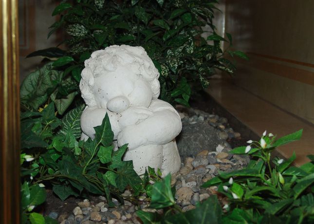 Imagen de los interiores del Hotel Burghotel, Weiler ob Helfenstein. Foto 17