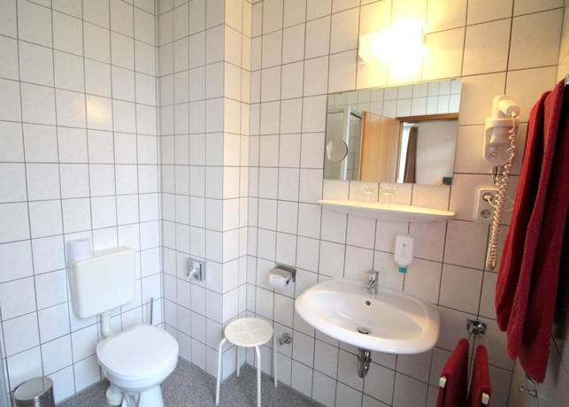 Imagen de la habitación del Hotel Burgk. Foto 16