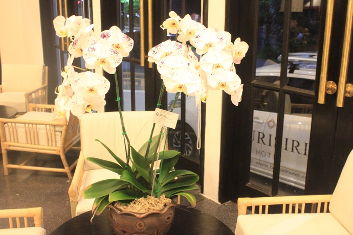 Imagen de los interiores del Hotel Buri Siri. Foto 11