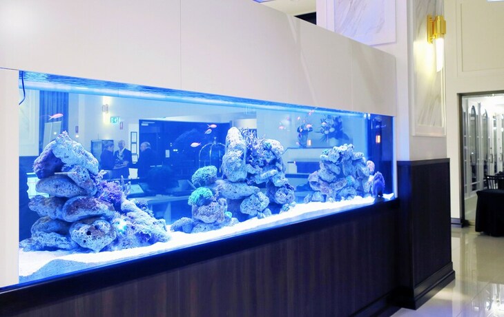 Imagen de los interiores del Hotel Burke And Wills. Foto 31