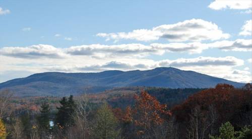 Imagen de la habitación del Hotel Burkehaven Lodge. Foto 13