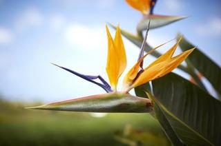 Imagen general del Hotel Burnt Pine Boutique Apartments. Foto 28