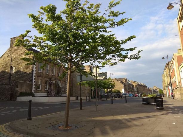 Imagen de los exteriores del Hotel Burntisland House. Foto 6