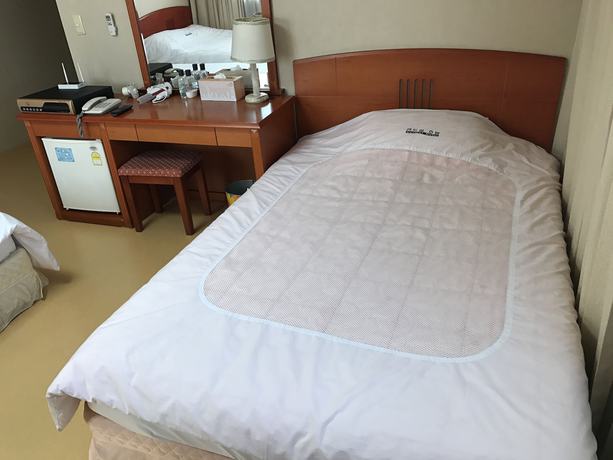 Imagen de la habitación del Hotel Busan Central. Foto 12