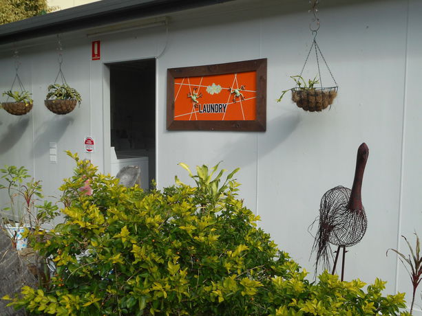 Imagen de los exteriores del Hotel Bush Village Holiday Cabins. Foto 15