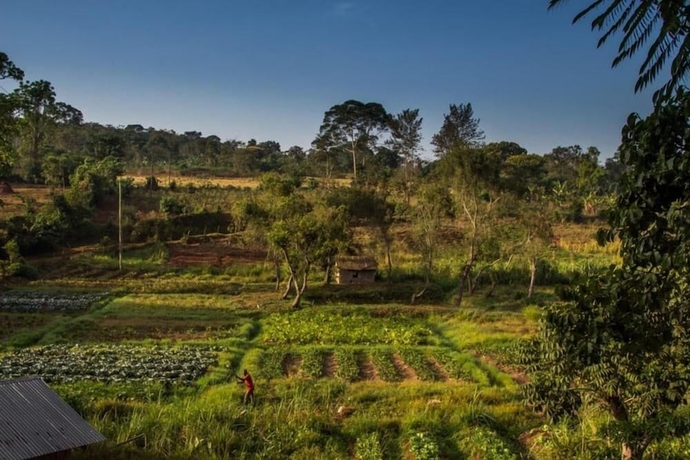 Imagen de los exteriores del Hotel Bushbaby Lodge. Foto 11