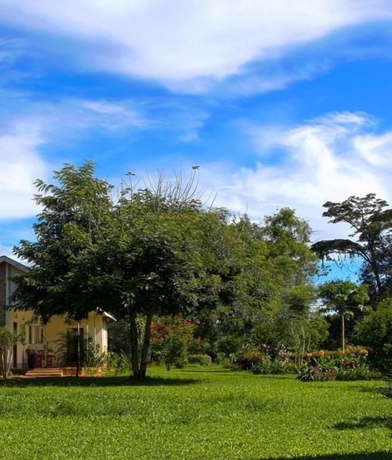 Imagen de los exteriores del Hotel Bushbaby Lodge. Foto 13