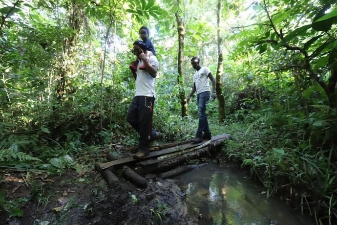 Imagen de los interiores del Hotel Bushbaby Lodge. Foto 15