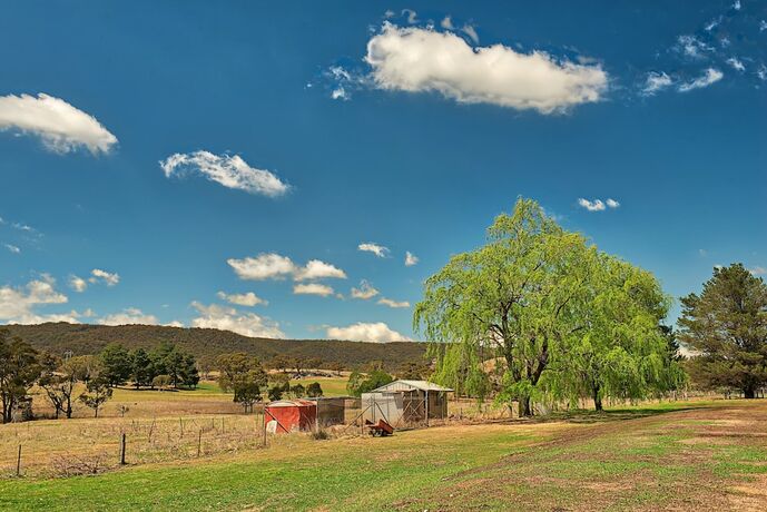 Imagen de los exteriores del Hotel Bushmans Motor Inn. Foto 33