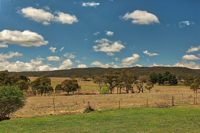 Imagen de los exteriores del Hotel Bushmans Motor Inn. Foto 34