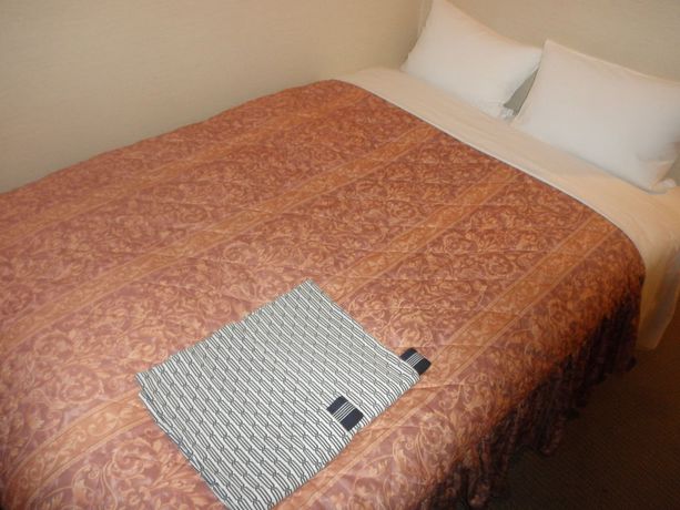 Imagen de la habitación del Hotel Business Goi Hills. Foto 14