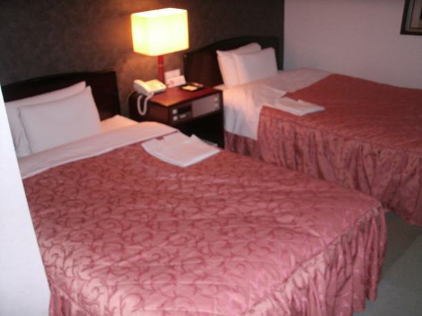 Imagen de la habitación del Hotel Business Honjo. Foto 8