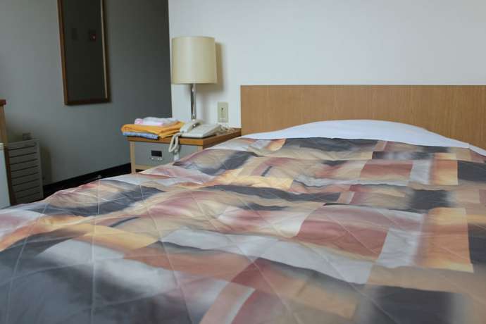 Imagen de la habitación del Hotel Business Hotel Annex Miduho. Foto 4