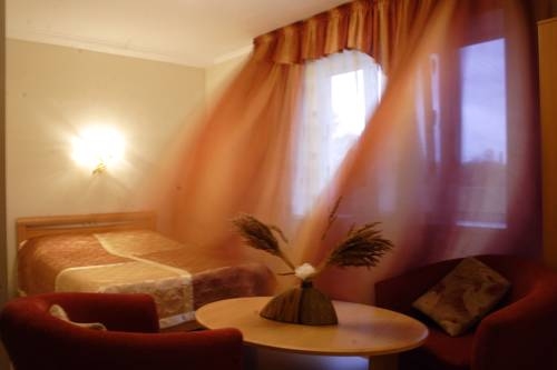 Imagen de la habitación del Hotel Business Hotel Vodoley. Foto 4