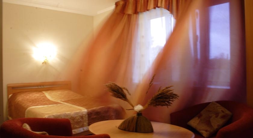 Imagen de la habitación del Hotel Business Hotel Vodoley. Foto 5