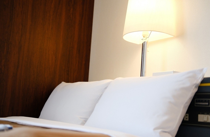 Imagen de la habitación del Hotel Business Inn Sunhotel. Foto 4