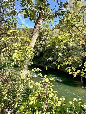 Imagen general del Hotel Business Riverside. Foto 3