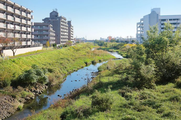 Imagen de los exteriores del Hotel Business Ryokan Kawazoeshiten. Foto 11