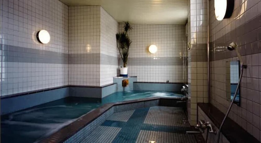 Imagen de la piscina del Hotel Business Sakai. Foto 20