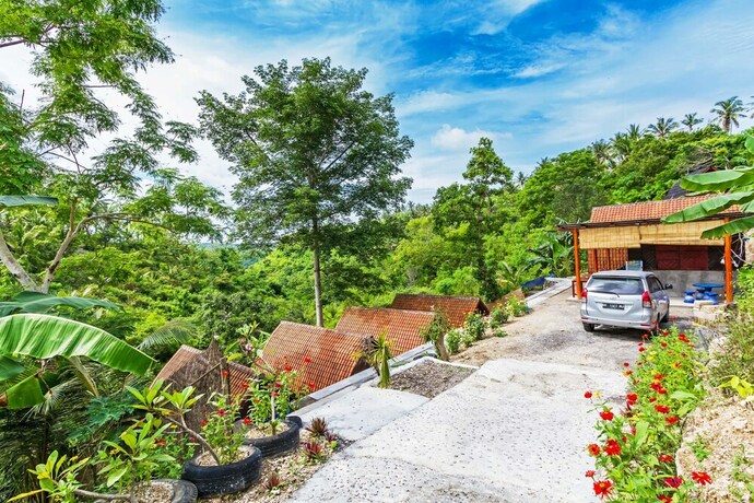 Imagen general del Hotel Butterfly Bungalows. Foto 1