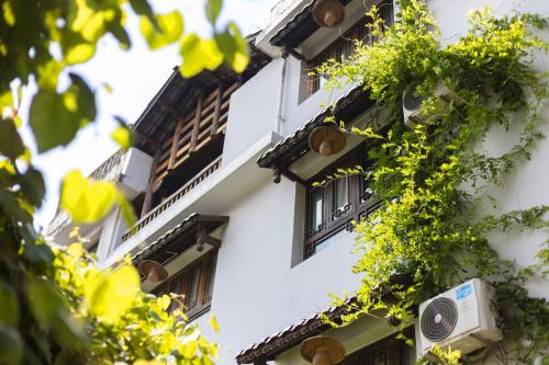 Imagen general del Hotel Butterfly Flowers Inn. Foto 1