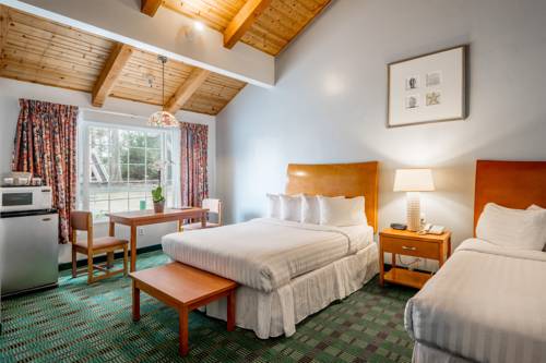 Imagen de la habitación del Hotel Butterfly Grove Inn. Foto 6