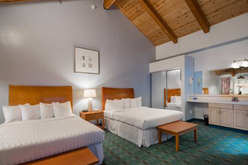 Imagen de la habitación del Hotel Butterfly Grove Inn. Foto 7