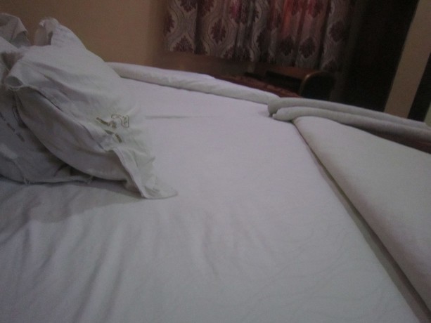 Imagen de la habitación del Hotel Butterflytz. Foto 11