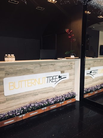 Imagen de los interiores del Hotel Butternut Tree. Foto 15