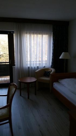 Imagen de la habitación del Hotel Büchner Garni. Foto 7