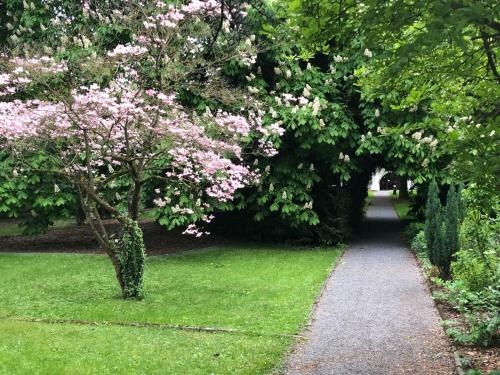 Imagen general del Hotel Büchner Garni. Foto 4