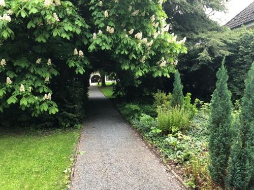 Imagen general del Hotel Büchner Garni. Foto 5