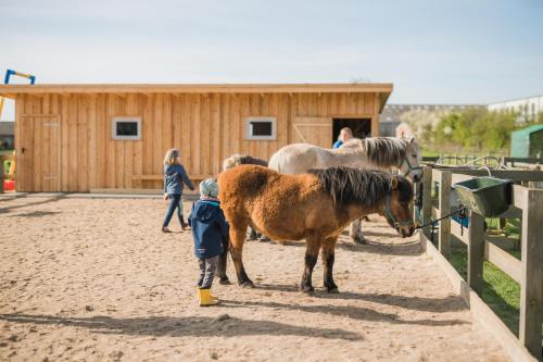 Imagen general del Hotel B&uuml;dlfarm - Der Familien-Erlebnishof in Strandn&auml;he. Foto 2