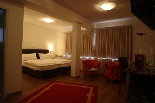 Imagen general del Hotel B&uuml;rger. Foto 8