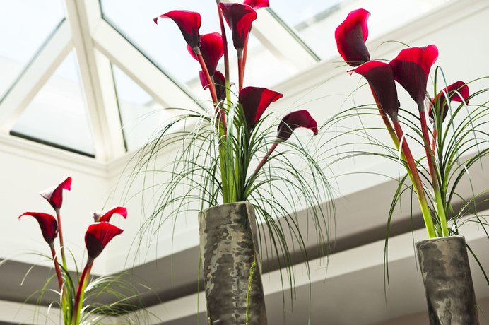 Imagen de los interiores del Hotel Buxted Park. Foto 20