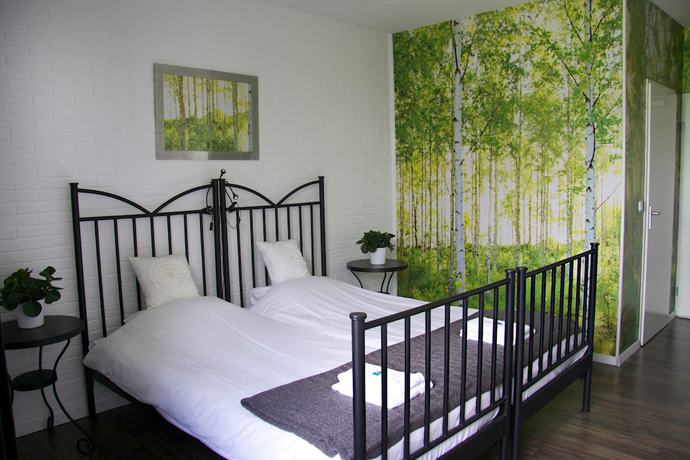 Imagen de la habitación del Hotel Buxus. Foto 13