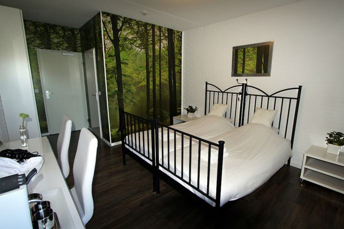 Imagen de la habitación del Hotel Buxus. Foto 15