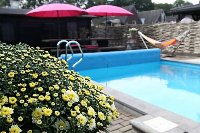 Imagen de la piscina del Hotel Buxus. Foto 20