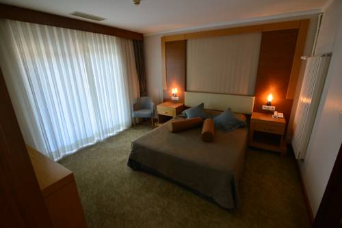 Imagen de la habitación del Hotel Buyuk Anadolu Eregli. Foto 2