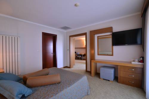 Imagen de la habitación del Hotel Buyuk Anadolu Eregli. Foto 5