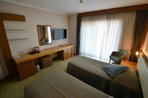 Imagen de la habitación del Hotel Buyuk Anadolu Eregli. Foto 6