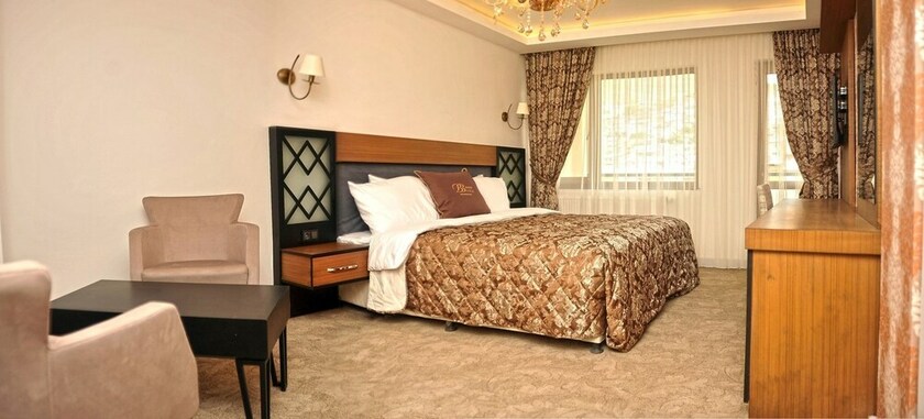 Imagen de la habitación del Hotel Buyuk Bayburt. Foto 13
