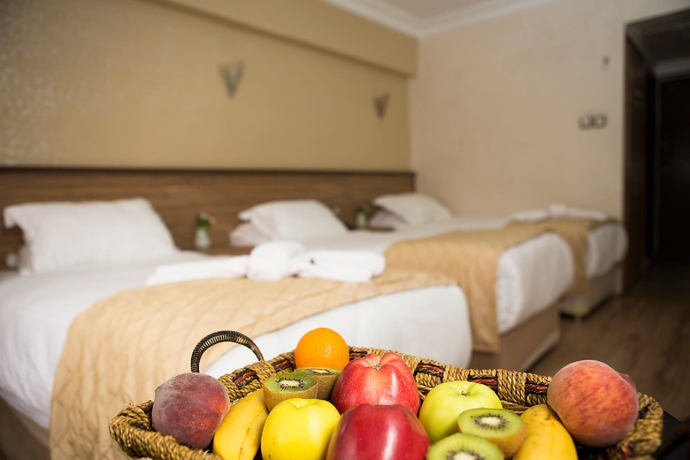 Imagen de la habitación del Hotel Buyuk Hamit. Foto 9