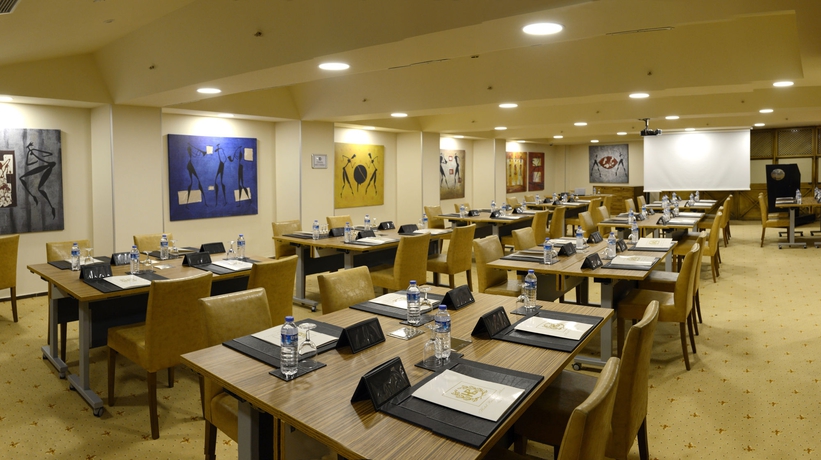 Imagen de los interiores del Hotel Buyuk Keban. Foto 14